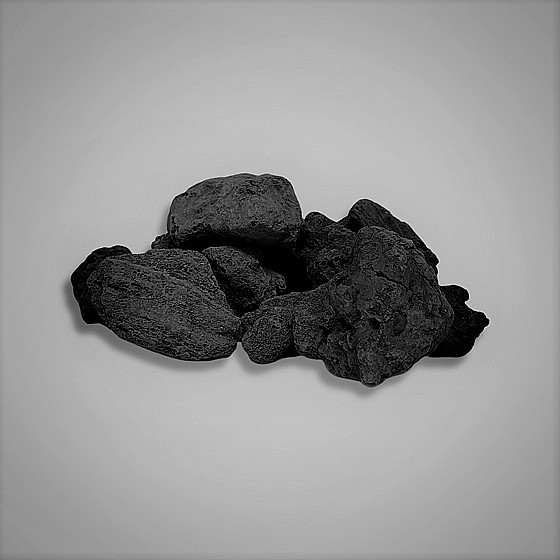 ���� ��� ���� �������� ����� 2-5 �"� - �� ���