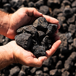 ���� ��� ���� �������� ����� 20-50 �"� - �� ���