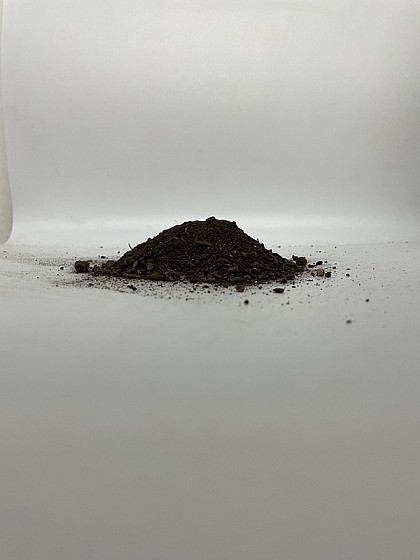 ��� ����� ��� ��� ����� - �� ���