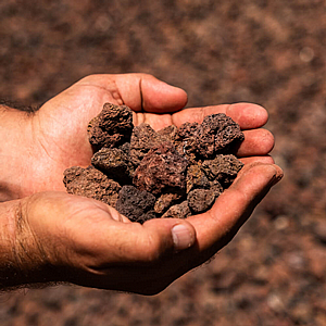 ��� ����  ������� ���� 4-20 �"� - �� ��� 