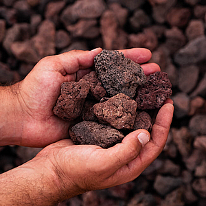 ��� �������� ���� 20-50 �"� ������ ����� - �� ���