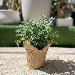 ��� ����� ����� ���� ����� - ����� 3