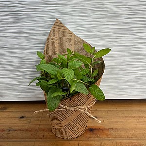 10 ����� ����� �������� �� ����� ���� ����� ������+���