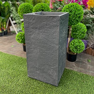 �� �������� ����� ����� ����� ���� - ��� ����