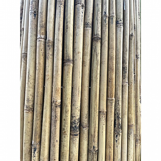 ��� ����� ���� ����� 1X5 ��� ����� 14-16 �"�