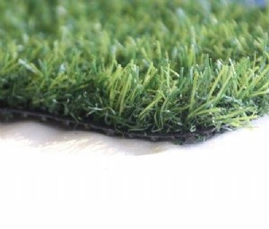 ���� ������ 17 ������� ���� ������