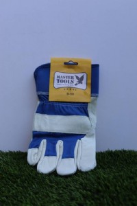 ��� ����� ����� - ���