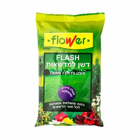 ���� FLASH - ��� �� ����� �������