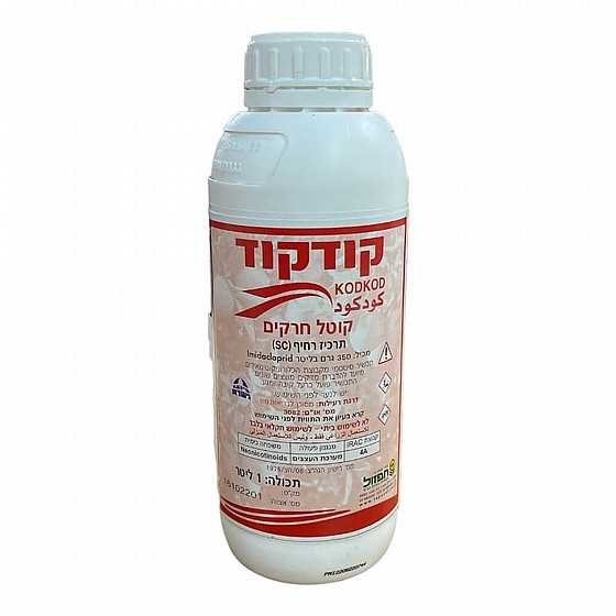 ������ - ����� ���� ����� �������