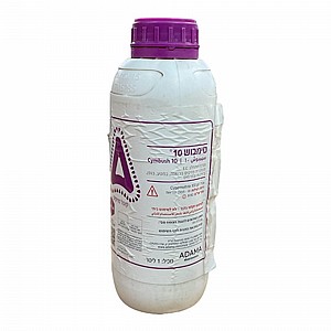 ������ 10 - ����� ����� ������ ������