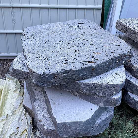 ��� ���� ����� ����� ������