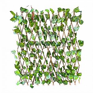 גדר אקורדיון נפתחת ודקורטיבית מעץ עם עלים גדר אקורדיון נפתחת ודקורטיבית מעץ עם עלים