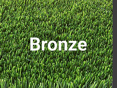 ���� ��� ������ ������ ���� ������ - Bronze ����� 38 �"�