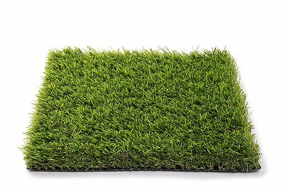 ���� ��� ������ ��� ���� - city ����� 40 �"�