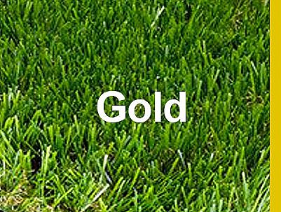 ���� ��� ������ ������ ��� ���� - Gold ����� 44 �"�