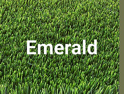 ���� ��� ������ ������ ���� ����� - Amerald ����� 46 �"�