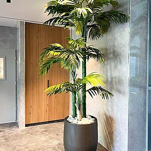 �� ��� �������� ������� 3 ���