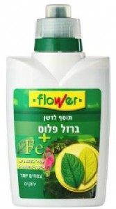 ברזל פלוס ברזל פלוס