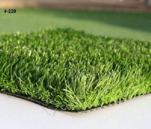 ���� ��� ������ - ��� ��������