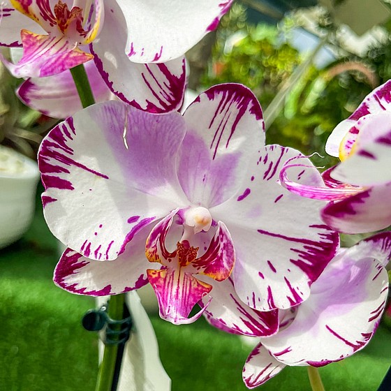 ���� ���� ������ �����