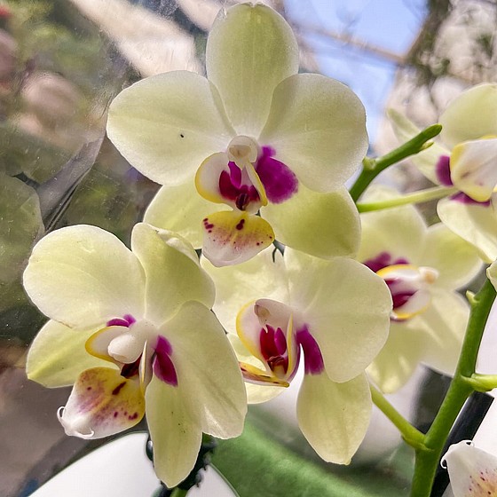 ���� ����