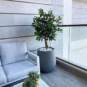 �� ����� ���� 1.20 ���