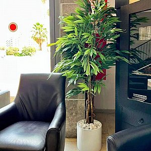 �� ���� 1.8 ���