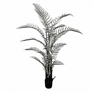 �� ��� 1.5 ���