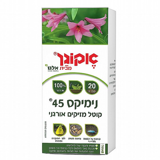 ������ 45 - ���� ������ ������