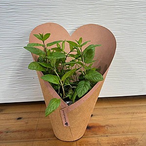 10 ����� ����� ������ ����� ��������� ����� ��