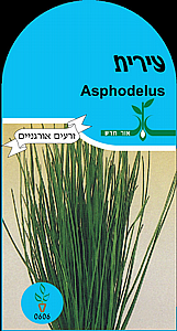 ���� �����