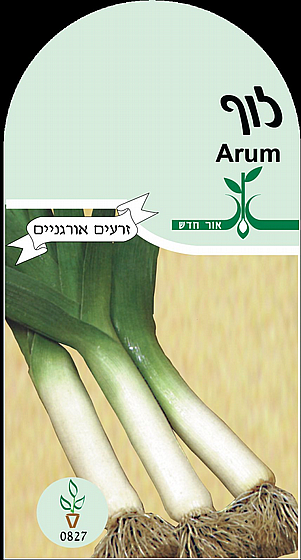 ���� ���