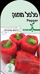 ���� ���� ����