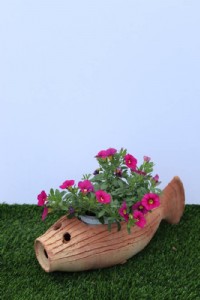 �� ��� - ��