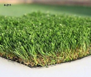 ��� ������ 40 ������� ���� ������