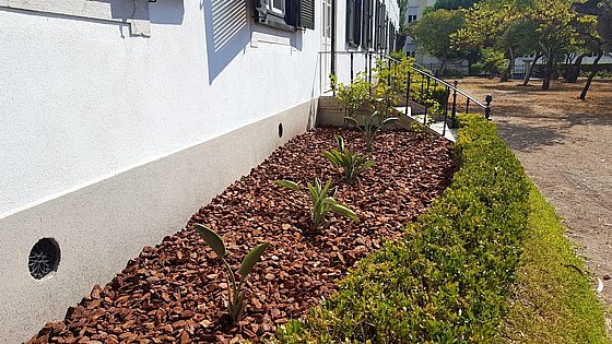 ������ ���� ����� ���� 12-18 �"� - 48 ���� �� 70 ����