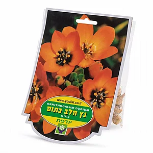 ����� �� ����