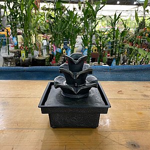 ����� ��� - ��� �����