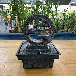 ����� ��� - ��� ���