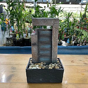 ����� ��� - ��� ��� 