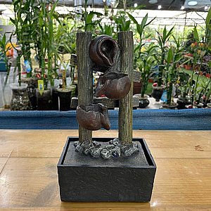 ����� ��� - ��� ������