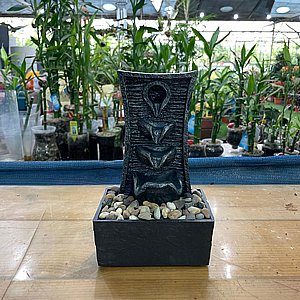 ����� ��� - ��� �����