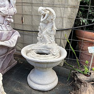 ����� - ��� ����