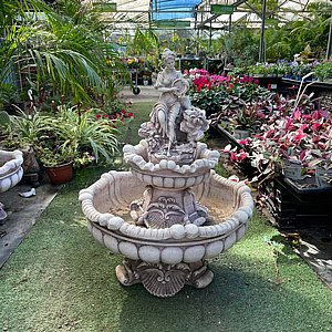 ���� - ��� ��� 