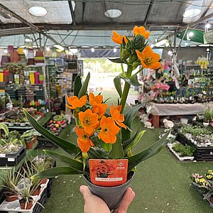 ���� �� ���� ����