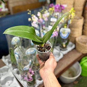 ���� ��� ����� ����� ����� - ���� 9 �"�