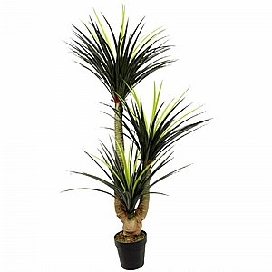 �� ���� ������� 3 ����� 1.4 ���