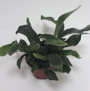 ��� ���� �� ���� ���� ��� ��� ����