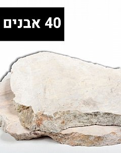 ���� ���� ���� ����� (40 ������) - ���� �������