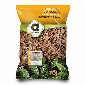 ������ �� ����� 